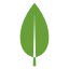 MongoDB